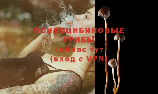 винт Алзамай